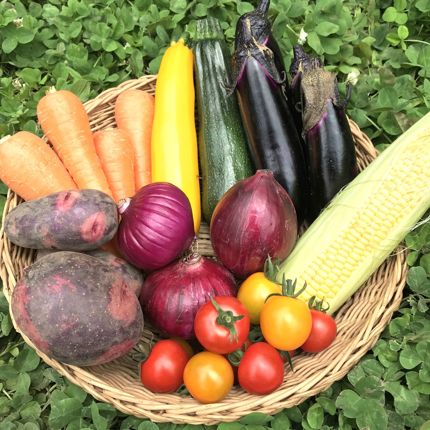 S サイズ:6~7種の野菜 ※旬野菜セット